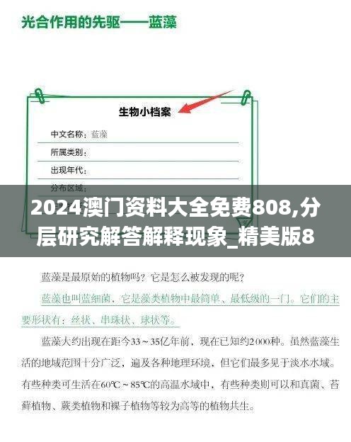 2024澳门资料大全免费808,分层研究解答解释现象_精美版81.605