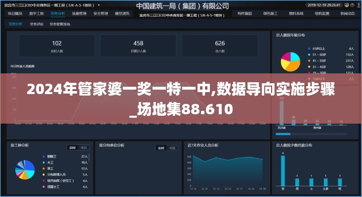 2024年管家婆一奖一特一中,数据导向实施步骤_场地集88.610