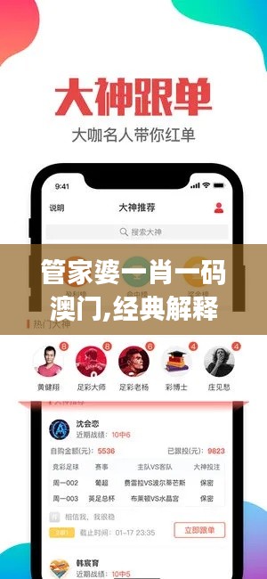 管家婆一肖一码澳门,经典解释定义_指南版86.88