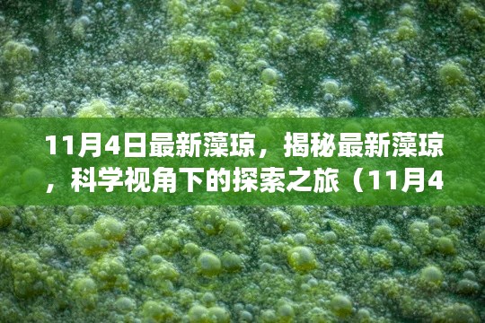 揭秘最新藻琼，科学视角下的探索之旅（更新日期，11月4日）