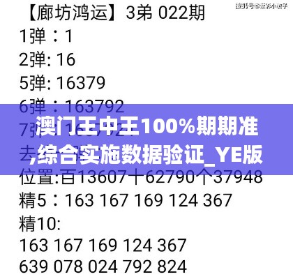 澳门王中王100%期期准,综合实施数据验证_YE版78.464