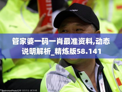 管家婆一码一肖最准资料,动态说明解析_精炼版58.141