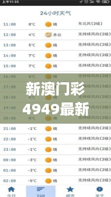 新澳门彩4949最新开奖记录,全面分析实施数据_内置版29.944