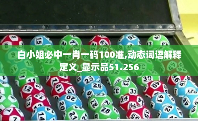 白小姐必中一肖一码100准,动态词语解释定义_显示品51.256