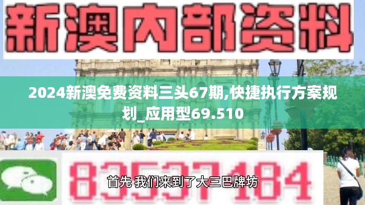 2024新澳免费资料三头67期,快捷执行方案规划_应用型69.510