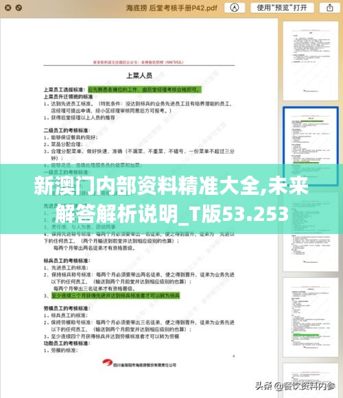 新澳门内部资料精准大全,未来解答解析说明_T版53.253