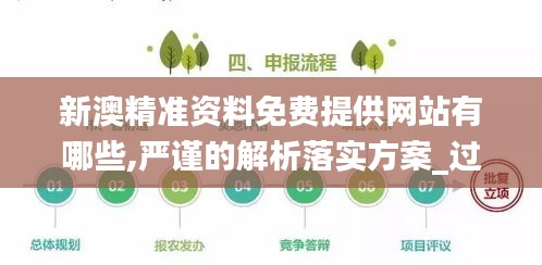 新澳精准资料免费提供网站有哪些,严谨的解析落实方案_过度集48.28