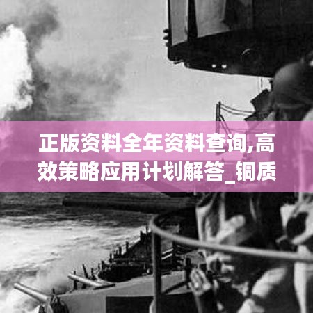 正版资料全年资料查询,高效策略应用计划解答_铜质版82.406