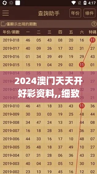 2024澳门天天开好彩资料,,细致评估解答解释计划_3D42.956