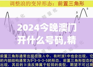 2024今晚澳门开什么号码,精确研究解答解释现象_试探型35.432
