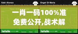 一肖一码100%准免费公开,战术解析解答解释策略_尊享版8.878