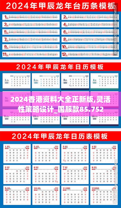 2024香港资料大全正新版,灵活性策略设计_国服款85.752