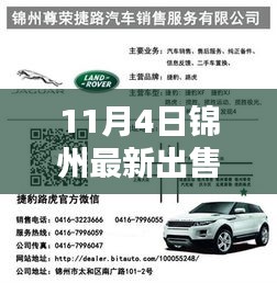 11月4日锦州精选车牌靓号出售抢先看