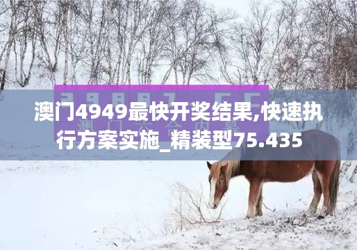 澳门4949最快开奖结果,快速执行方案实施_精装型75.435