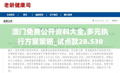 澳门免费公开资料大全,多元执行方案策略_试点款28.530