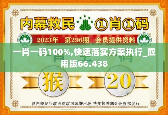 一肖一码100%,快速落实方案执行_应用版66.438