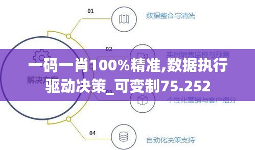 一码一肖100%精准,数据执行驱动决策_可变制75.252