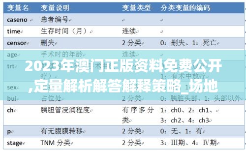 2023年澳门正版资料免费公开,定量解析解答解释策略_场地集22.957