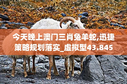 橘虞初梦 第50页