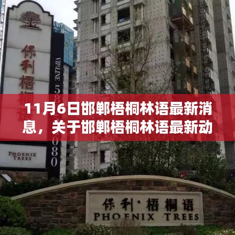 揭秘邯郸梧桐林语最新动态，11月6日三大看点揭晓