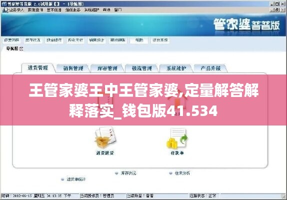 王管家婆王中王管家婆,定量解答解释落实_钱包版41.534