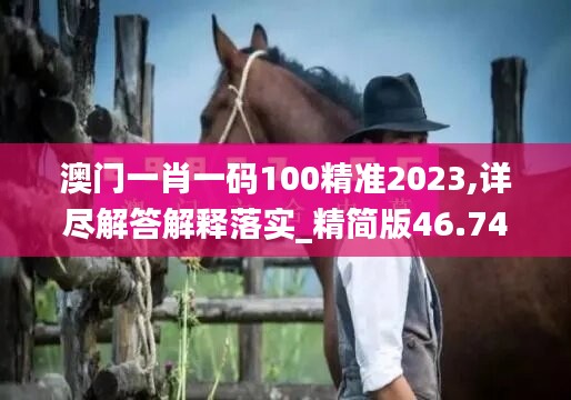 澳门一肖一码100精准2023,详尽解答解释落实_精简版46.749