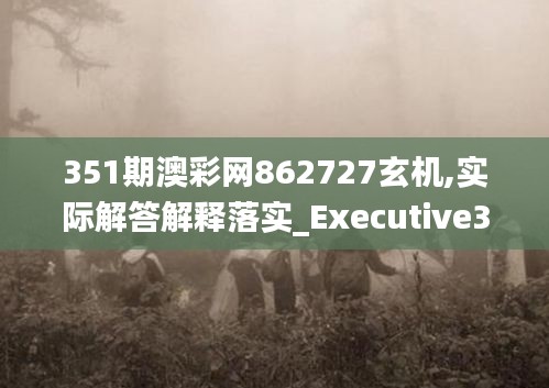 351期澳彩网862727玄机,实际解答解释落实_Executive36.871