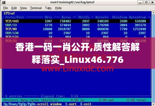 香港一码一肖公开,质性解答解释落实_Linux46.776