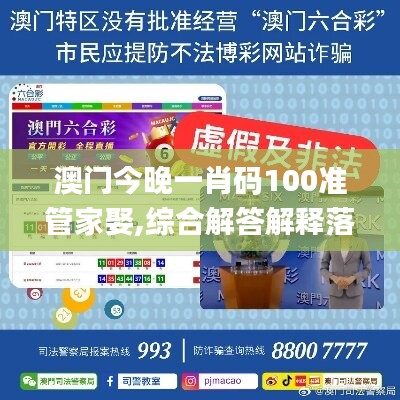 澳门今晚一肖码100准管家娶,综合解答解释落实_铂金版68.964