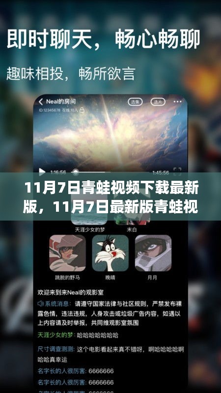 11月7日最新版青蛙视频下载指南，要点解析与体验分享