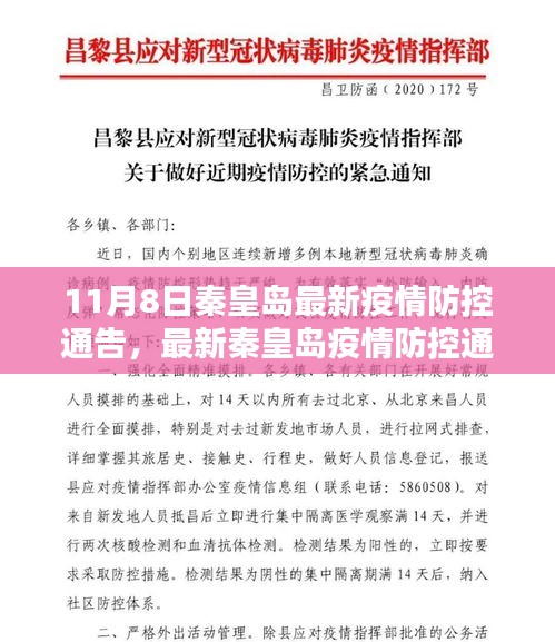花开无言 第46页