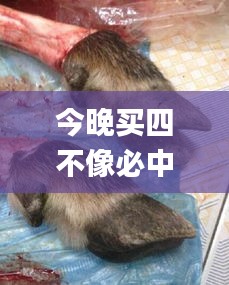 神采奕奕 第47页