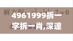 4961999拆一字拆一肖,深邃解答解释落实_经典款91.584