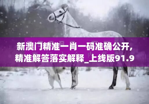 新澳门精准一肖一码准确公开,精准解答落实解释_上线版91.910