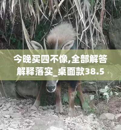 星星打烊 第47页