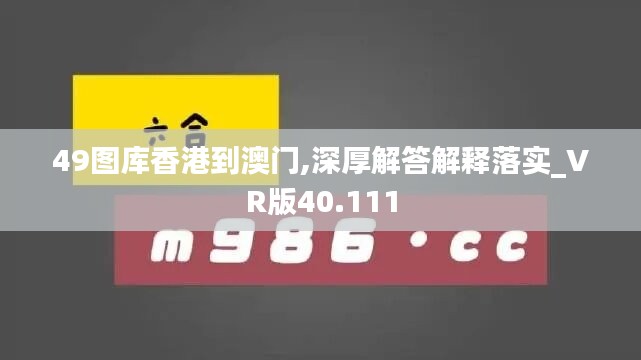 49图库香港到澳门,深厚解答解释落实_VR版40.111