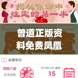 曾道正版资料免费凤凰,预测解答解释落实_云端版18.909