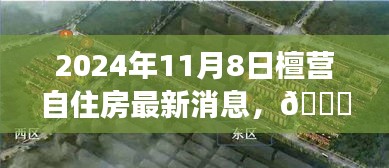 🌟 檀营自住房最新动态深度解读，2024年11月8日最新消息 🏠
