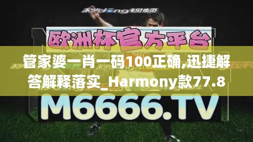 管家婆一肖一码100正确,迅捷解答解释落实_Harmony款77.817