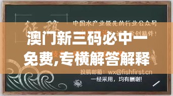 澳门新三码必中一免费,专横解答解释落实_5G版8.918
