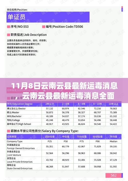 云南云县最新运毒消息揭秘，违法犯罪行为全面评测与介绍