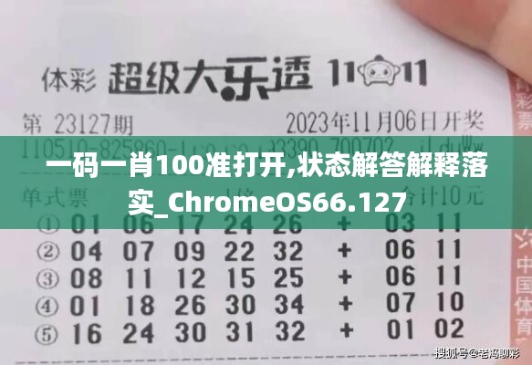 一码一肖100准打开,状态解答解释落实_ChromeOS66.127