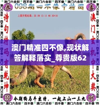 澳门精准四不像,现状解答解释落实_尊贵版62.228