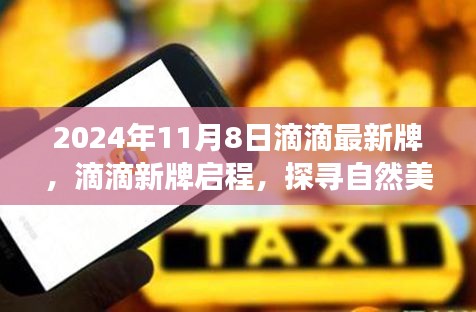 滴滴新启程，探寻自然美景的心灵宁静之旅（2024年11月8日）