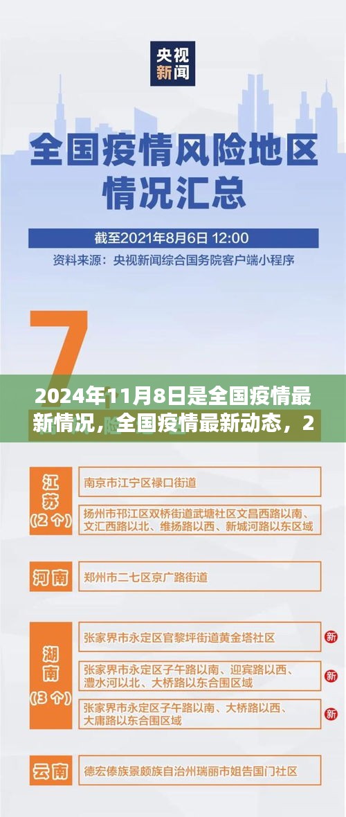 全国疫情最新动态，见证希望之光，2024年11月8日纪实报道