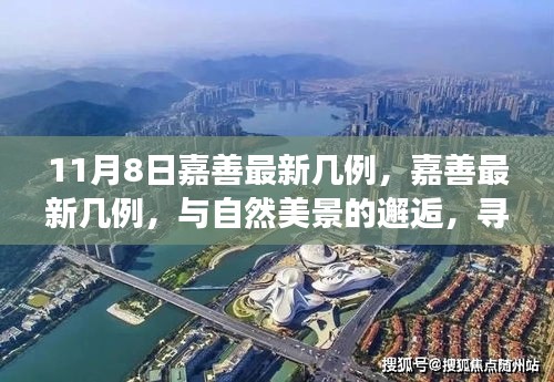 嘉善最新疫情动态，与自然美景的邂逅，心灵宁静之旅启程