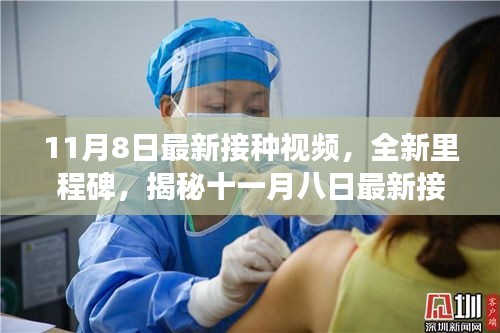 揭秘十一月八日最新接种视频背后的故事与影响，全新里程碑诞生！