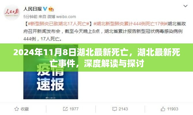 湖北最新死亡事件深度解读与探讨（2024年11月8日）