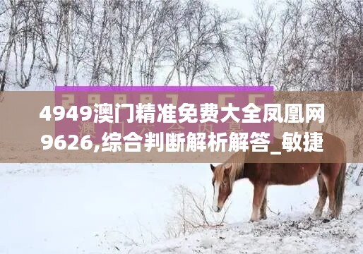 4949澳门精准免费大全凤凰网9626,综合判断解析解答_敏捷版DCF589.19