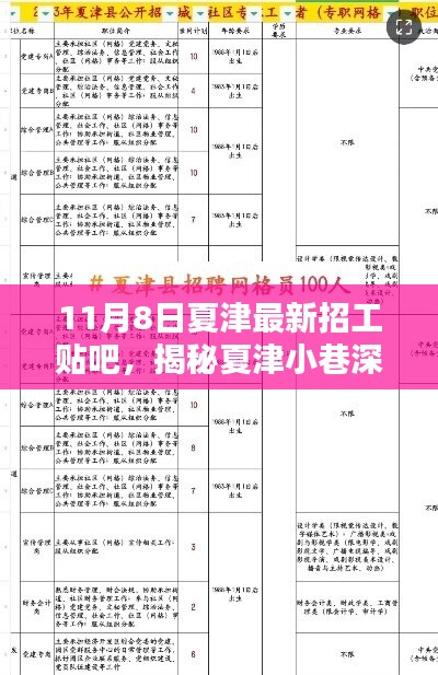 揭秘夏津隐藏宝藏，11月8日最新招工贴吧与特色小店探秘
